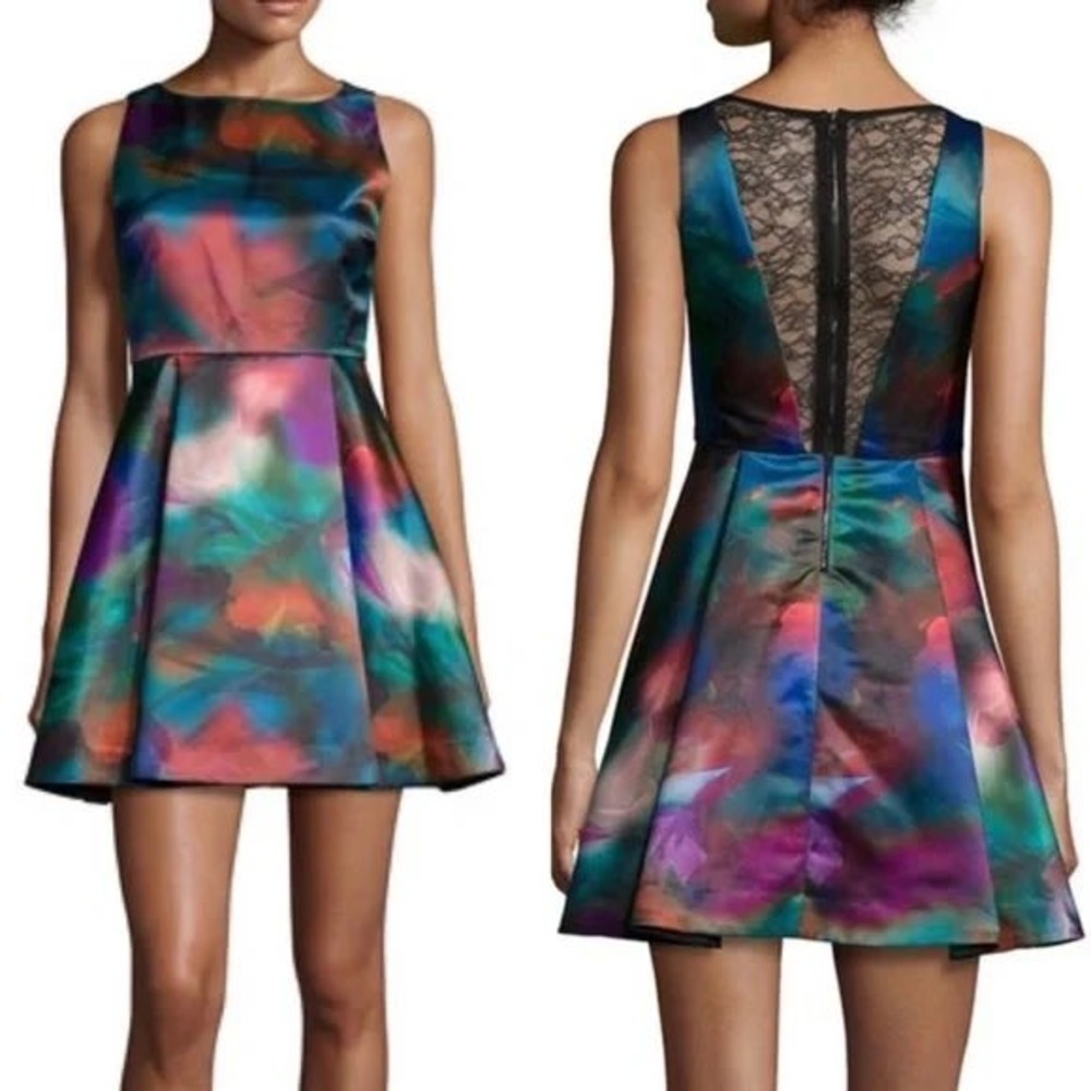 Alice and Olivia Belia Aline Watercolor Dress Size 6